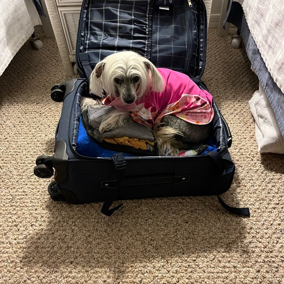 Meet your Posher, Kathy - Picture 5 of 16